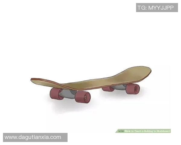 北京滑板队速度表现数据分析揭示运动员潜力与训练效果的深度关系